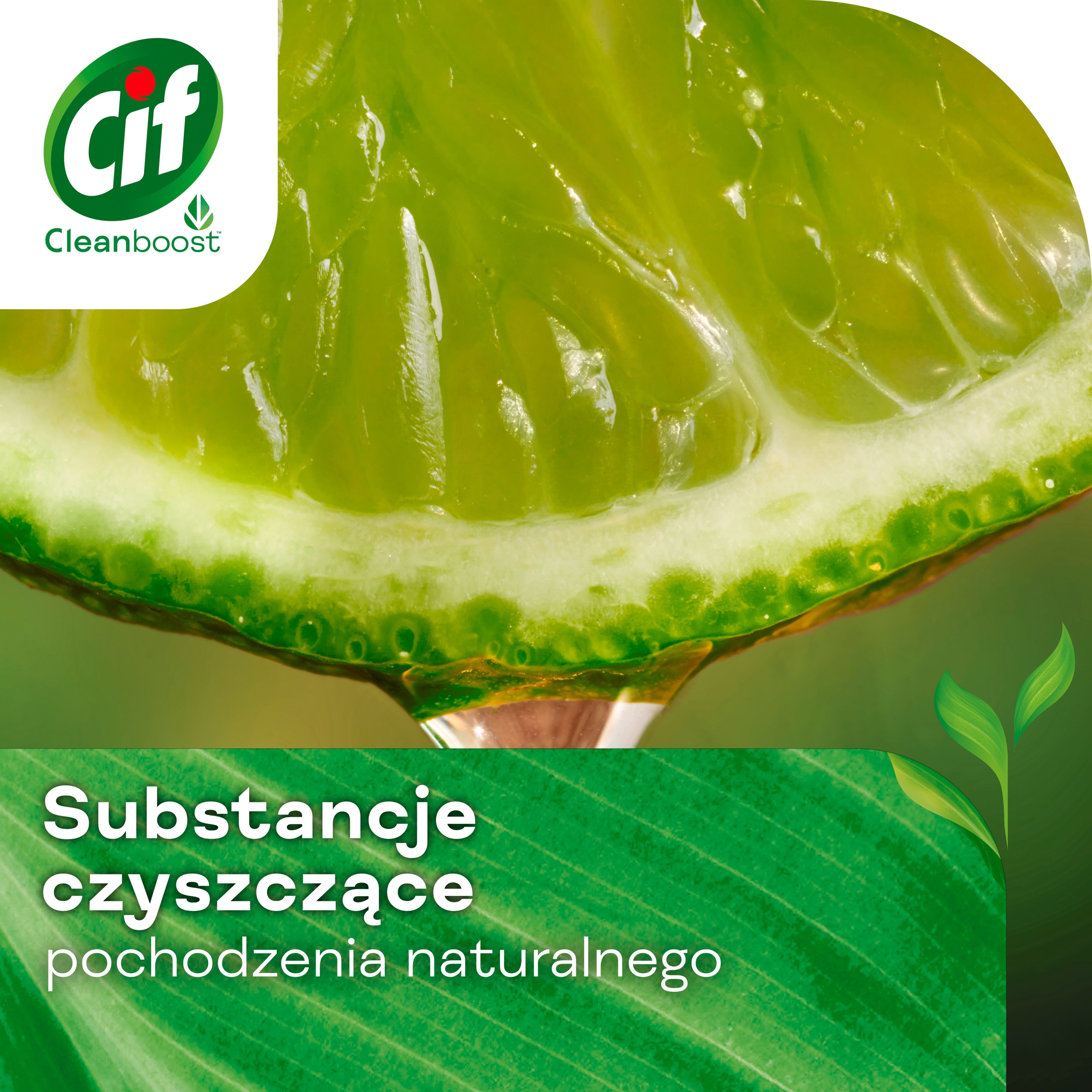Mleczko do czyszczenia CIF Cream Original 780 ml - obrazek 4